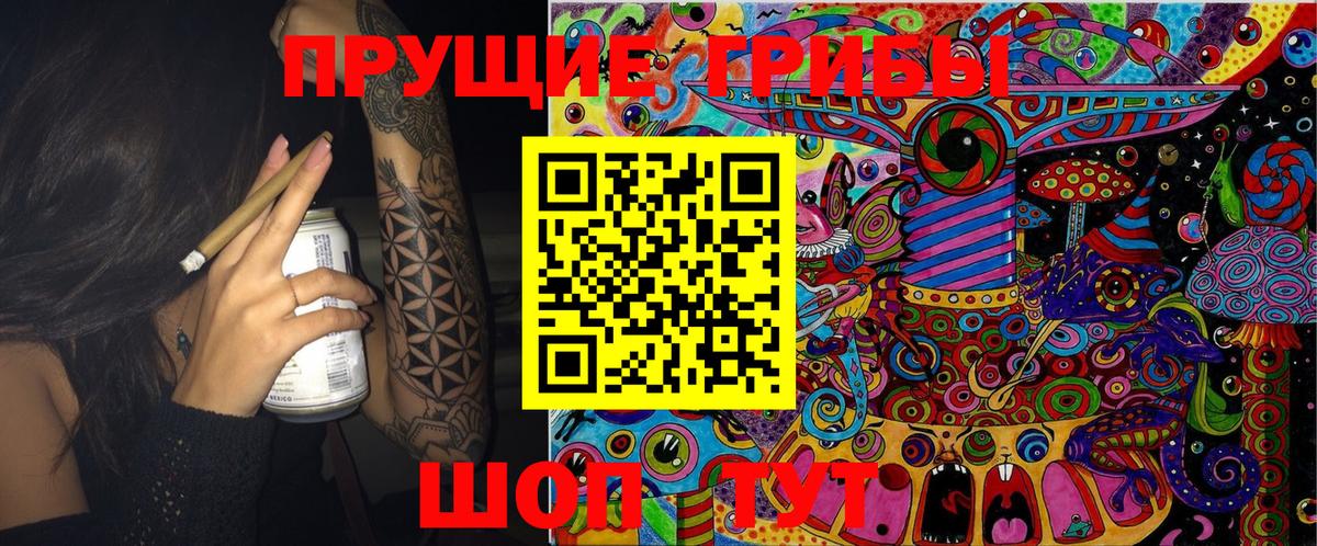 Галлюциногенные грибы Cubensis Александров